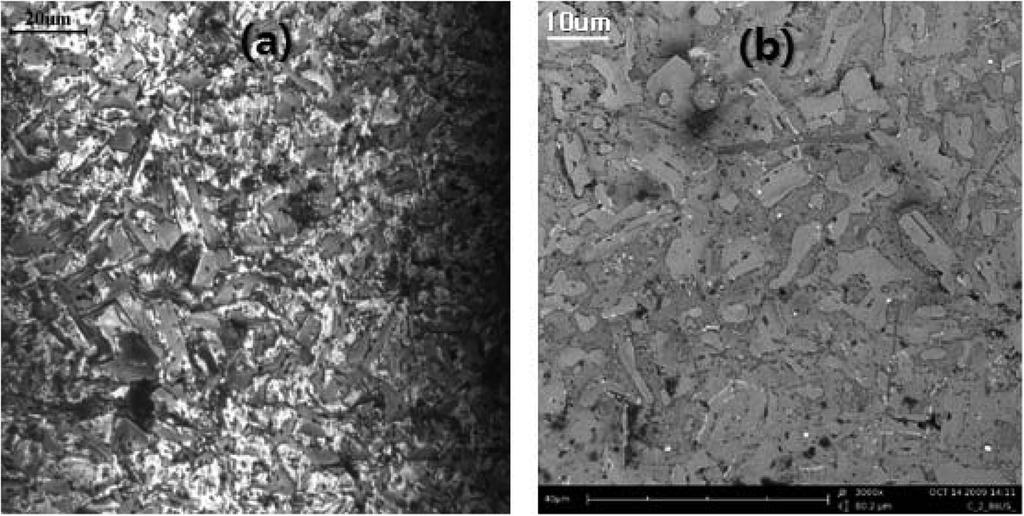 265 Fig. 7. (a) CSLM, (b) BSE images of as-cast surface obtained after etching for 8s at RT in 1 M NaOH solution. 칭한 후 얻은 표면사진들이다.