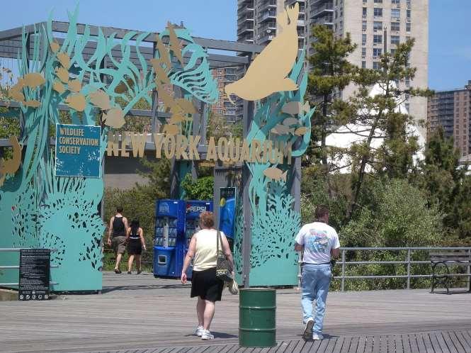 23 < 그림 > 뉴욕아쿠아리움 (New York Aquarium) https://ko.