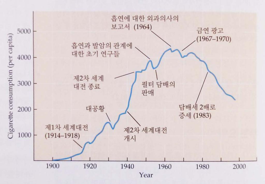 담배의역사 1900 년에서 1998