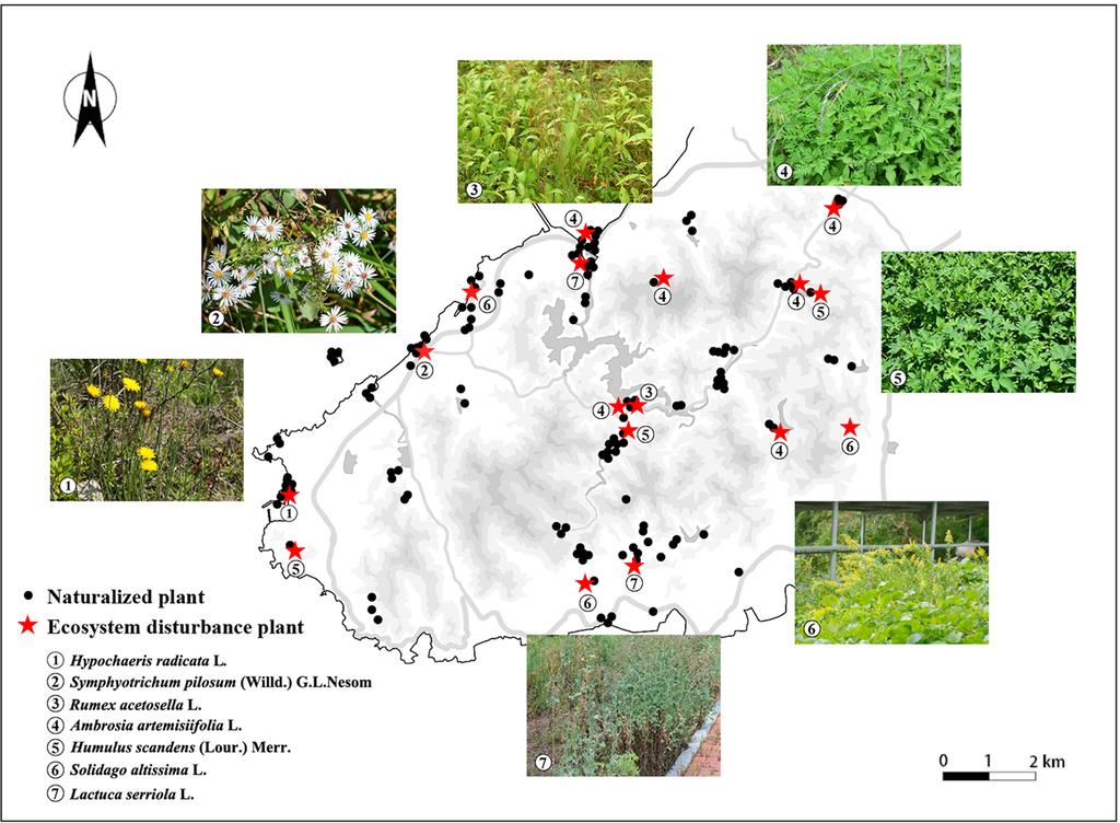 Flora of vascular plants of Byeonsanbando National Park 437 Fig. 4. The distribution map of naturalized plants and ecosystem disturbance plants in Byeonsanbando National Park. 2013).