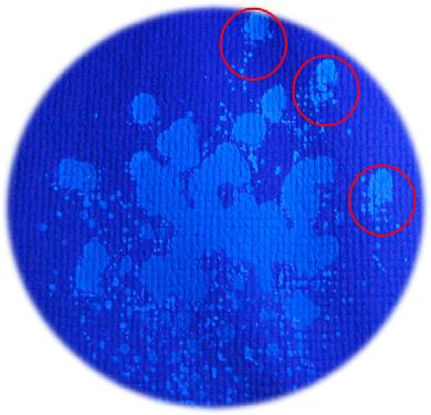 Spray test result of waterproof fabric visible and FITC fluorescence image 일반보온용원단의경우에는육안판정의시거의발수등급 3급 (70) 에가깝게판정할수있었으며, 형광이미지기반의판별의경우평균면적비가 18.2 ± 2.4 % 로서정량화기준으로는발수등급 3급 ( 면적비약 12.