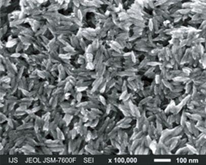 대황및알로에베라복합추출물과이산화티탄의혼합분체로부터새로운다기능성선블록의조성물에관한연구 Figure 1. SEM image of MP-100 and MPT-136, which are micron- and nano-titanium dioxide (TiO 2 ) powders, respectively ( 100,000).