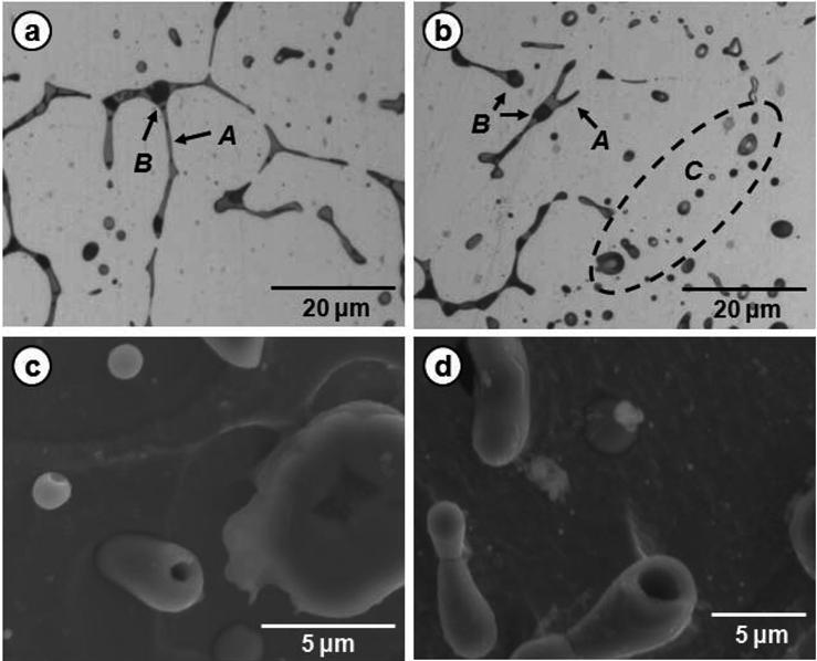 particles in IIIC and (d) rod-like eutectic sulfides in IIIB specimen, nital deep-etched scanning electron micrographs. Fig. 4.
