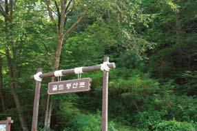 6km 코스로 2시간 30분정도소요된다. 먼저골드등산로는자작나무노란단풍을감상할수있는코스로피톤치드효과도흠뻑느낄수있다. 실버등산로는원시림의자연생태계가그대로보존되어있어다양한종의식물들을감상할수있다. 두개의등산로모두삼거리쉼터에서만나정상을향한다. 정상에오르면파란물감을풀어놓은듯한높은가을하늘과맞닿는다.