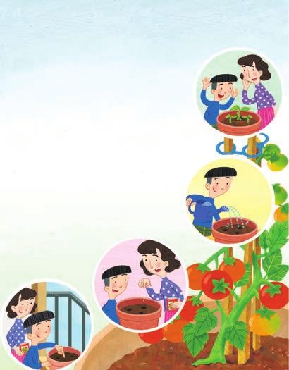 Listen and read aloud. Complete the Chain Map. Growing Tomatoes I want to grow tomatoes. So, I plant seeds with my mom. First, we pick a sunny spot inside. We get our seeds.
