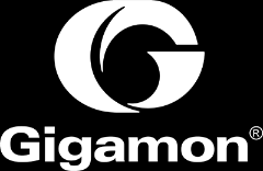 Gigamon The Power of