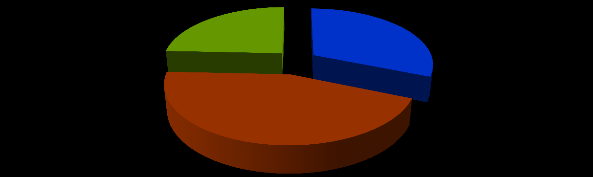 1. Telcoware소개 - 기업개요 (2012년 7월 기준) 주주현황 24.3% 31.2% 최대주주 및 특수관계인 44.