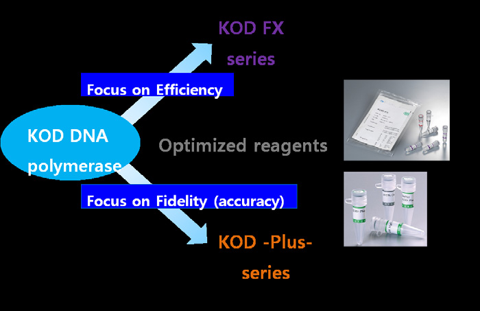 KOD -Plus- 높은 정확성과 증폭율로 Cloning에 적합한 PCR enzyme TOYOBO 겨울 할인 행사 Conventional PCR enzyme TOYOBO 대표 제품, KOD Polymerase란?