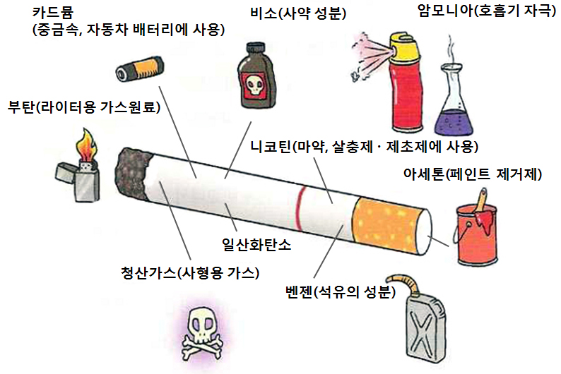 Part 2. 금연상담의 이론적 배경 2장 흡연의 건강위험 1. 담배연기의 유해 성분 담배연기의 종류는 주류연과 부류연이 있다. 주류연은 흡연자가 연기를 들이마신 후 내뿜는 연기를, 부류연은 담배가 스스로 타면서 발생하는 연기를 말한다.