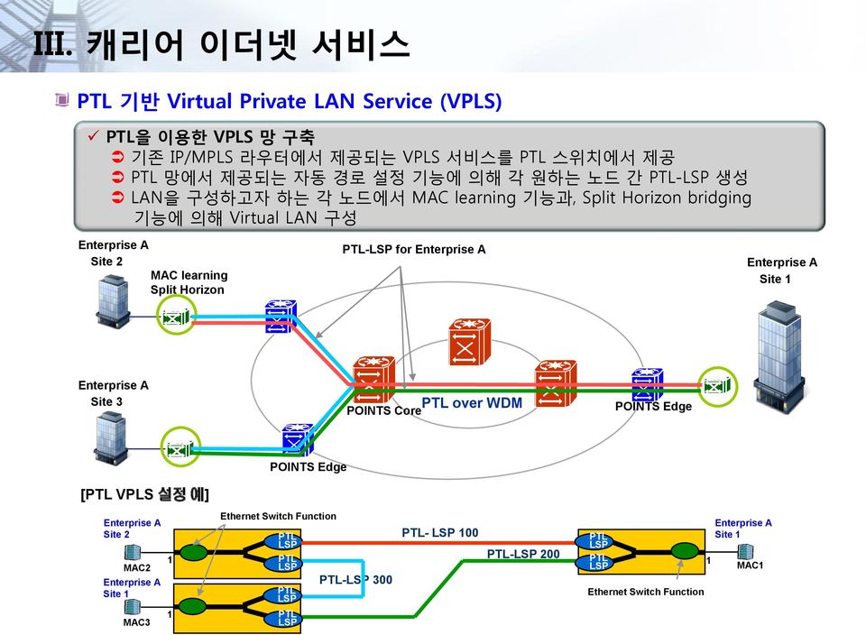 A Enterprise A Site 1 Enterprise A Site 3 PTL over WDM POINTS Core POINTS Edge [PTL VPLS 설정 예] POINTS Edge Enterprise A Site 2 MAC2 Enterprise A Site 1 MAC3 PTL-