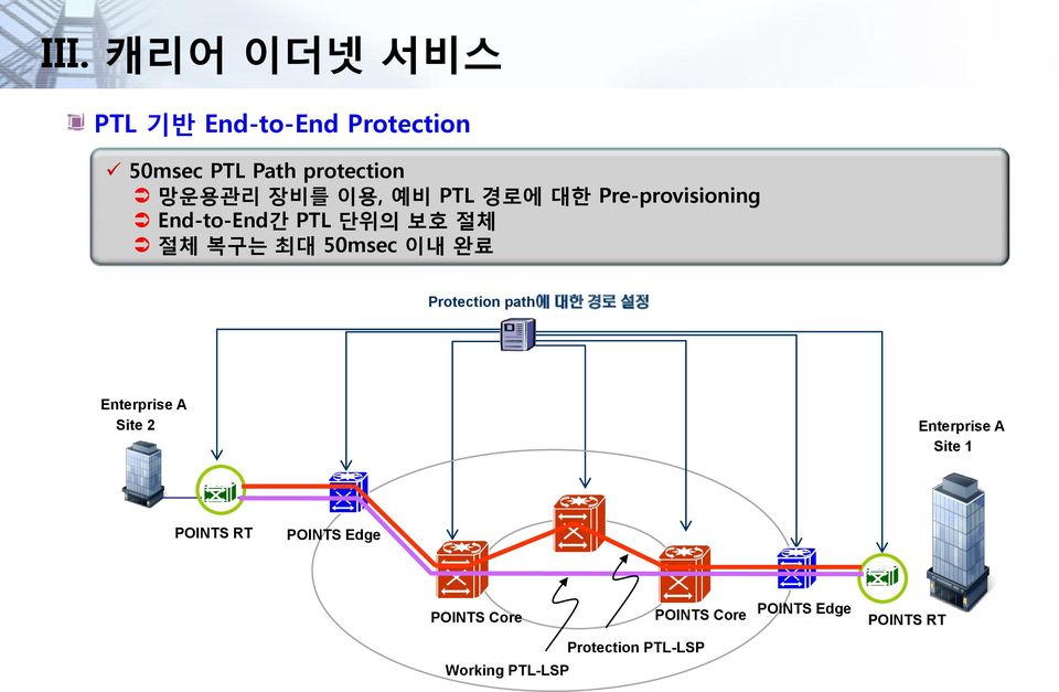 Protection path에 대한 경로 설정 Enterprise A Site 2 Enterprise A Site 1 POINTS RT POINTS