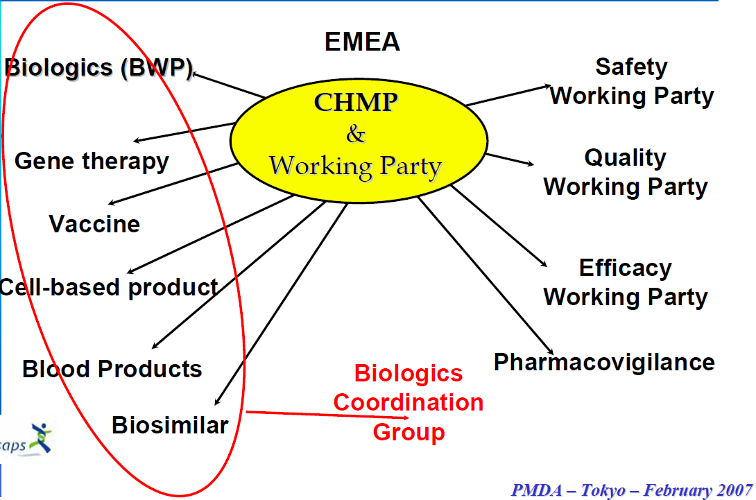 CHMP의 역할 및 구성 인체용의약품위원회(CHMP)는 Regulation (EEC) No.726/2004에 따라 인체에 사용되는 의 학 제품에 관한 모든 질문들에 대해 기관의 견해를 준비할 책임이 있으며, EU에서는 의약 품에 대한 시장 절차에서 핵심적 역할을 수행한다.
