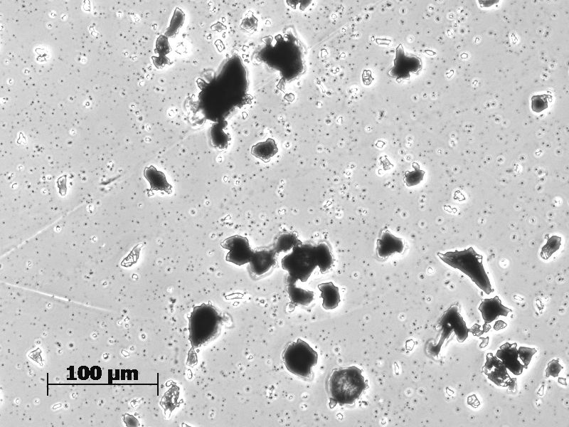 그림 3-34 5번체로 거른 후 iron dust 입자 (3) 분석 항목 및 방법 COD는 standard method(apha, 1998) 552 C. Closed Reflux. Titrimetric method를 사용하였으며 암모니아는 45-NH3 C. Titricmetric method, MLSS는 254 D.