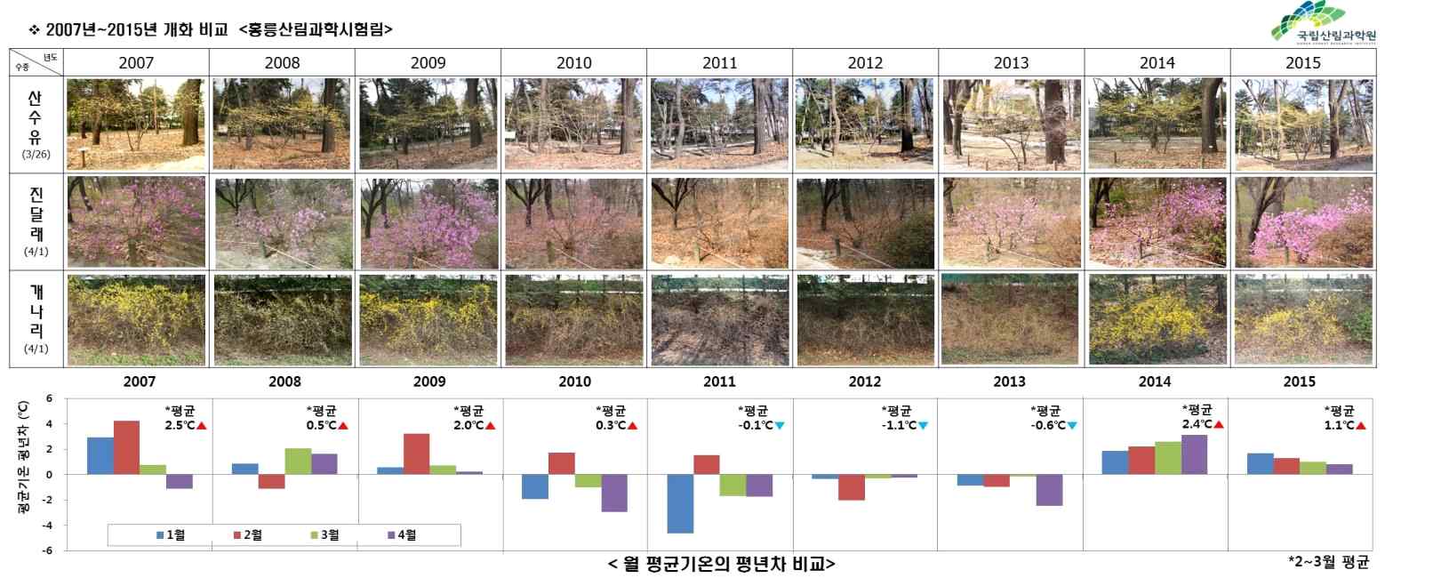 2 산림과학원 산림정책 베어낸 나무, 원목으로 이용 가능한 양은 얼마?