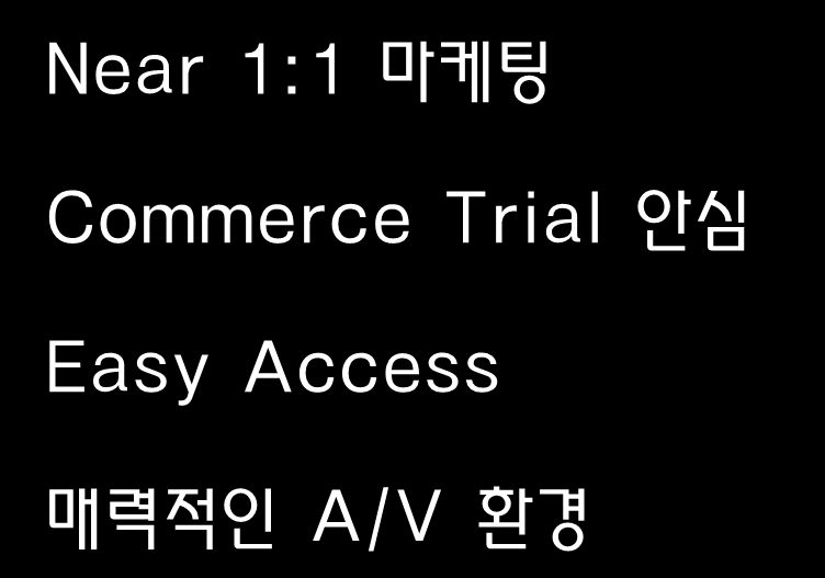 디지털 미디어: IDTV Near 1:1 마케팅 Commerce Trial 안심