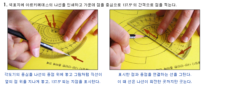 02. 잎새 나루의 비밀이야기 2. 꽃잎의 수들을 조사해 보고 발견한 것을 적어 봅시다. - 세상의 다양한 꽃들이 모이면 피보나치수열을 이루게 된다. 모든 꽃잎이 피보나치수열에 해당되는 것은 아니다. 3. 자연의 아름다운 질서인 피보나치수열의 구조를 발견할 수 있는 다른 예를 찾아 봅시다.