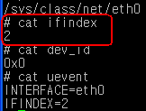 Ethernet service (부팅 시) static int netlink_init_interfaces_list(void) {.. if ((netdir = opendir(sysfs_class_net))!= NULL) { while((de = readdir(netdir))!
