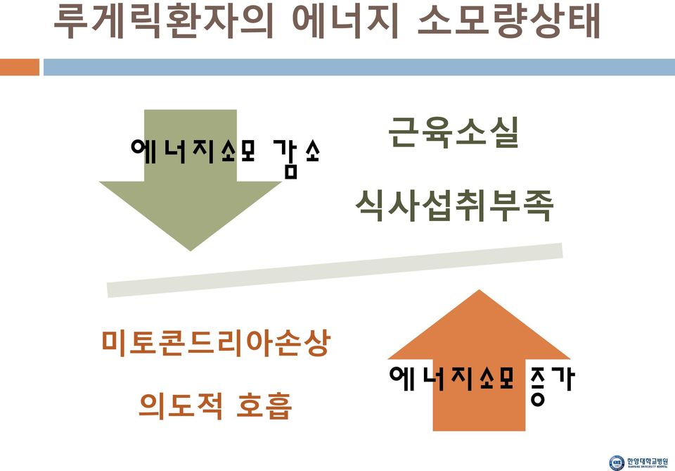 근육소실 식사섭취부족