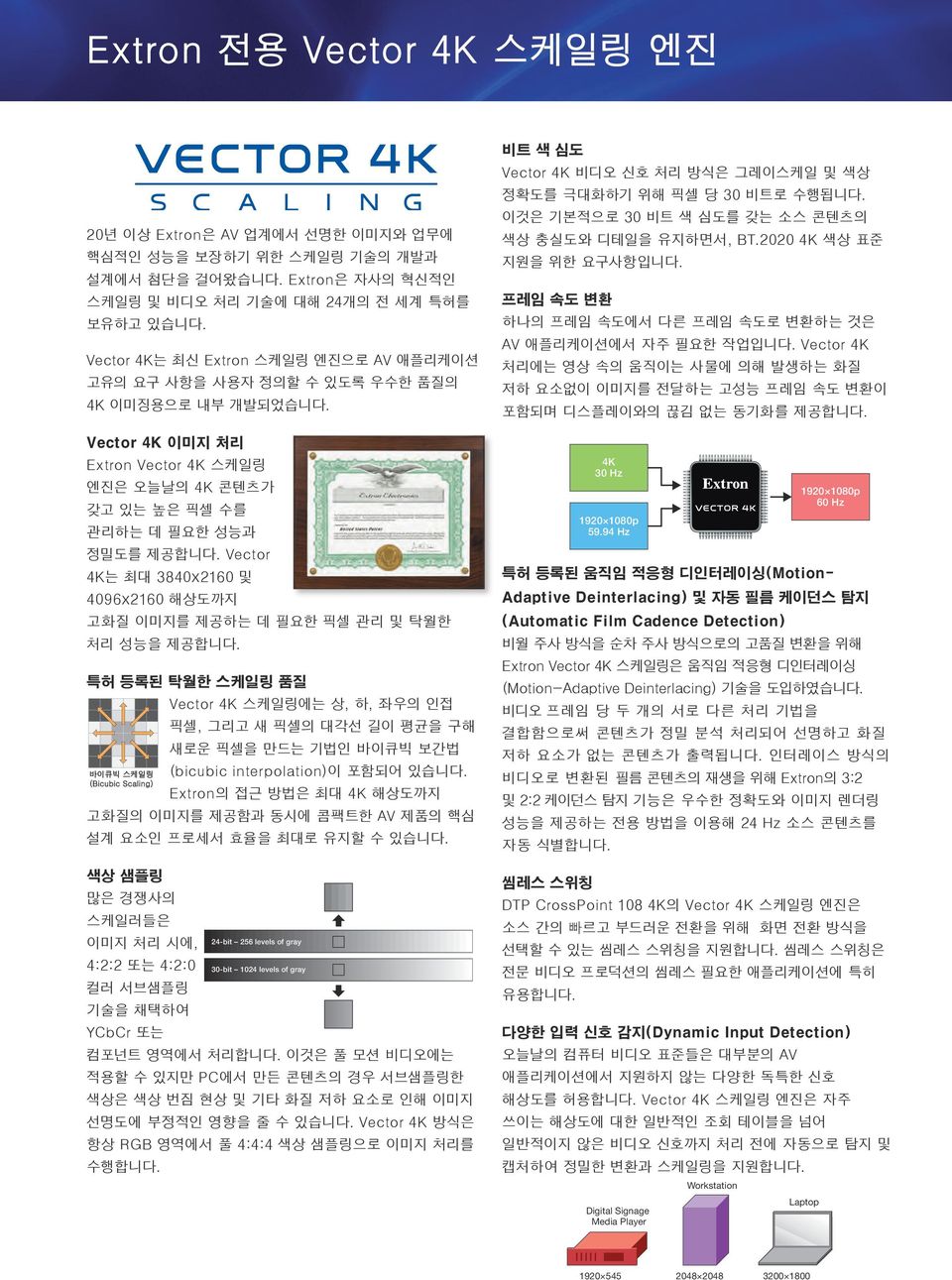 Vector K는 최대 0x0 및 09x0 해상도까지 고화질 이미지를 제공하는 데 필요한 픽셀 관리 및 탁월한 처리 성능을 제공합니다.