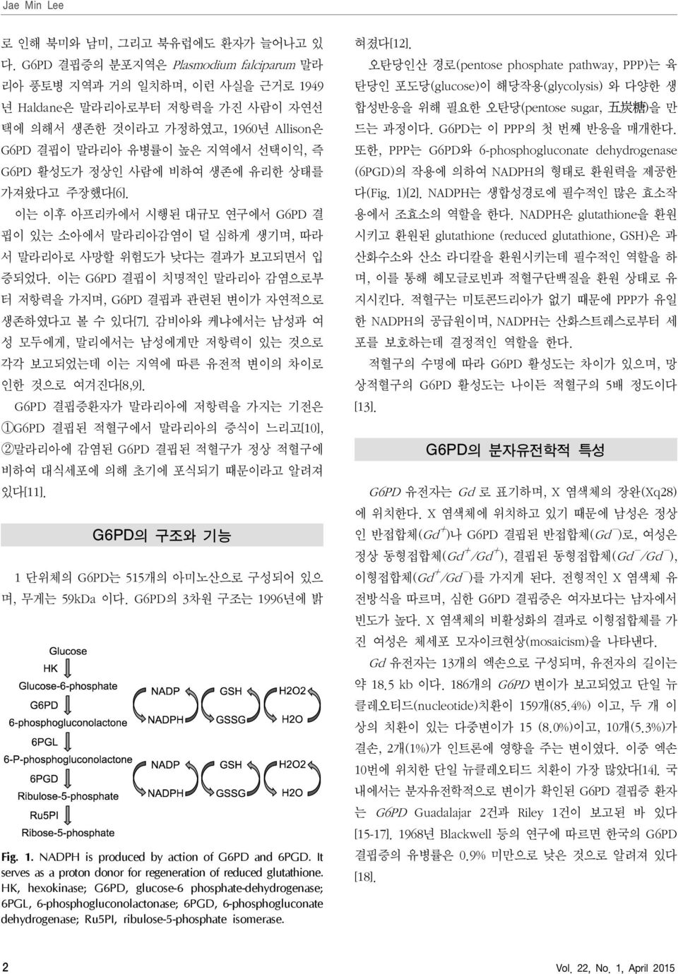 사람에 비하여 생존에 유리한 상태를 가져왔다고 주장했다[6]. 이는 이후 아프리카에서 시행된 대규모 연구에서 G6PD 결 핍이 있는 소아에서 말라리아감염이 덜 심하게 생기며, 따라 서 말라리아로 사망할 위험도가 낮다는 결과가 보고되면서 입 증되었다.