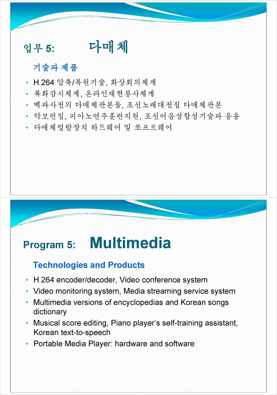 Program 5: Multimedia Technologies and Products H.