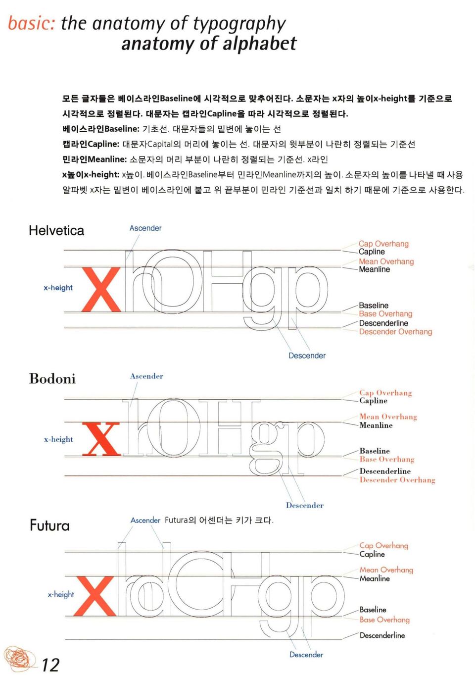 소문자의 높이를 나타낼 때 사용 알따뱃 X자는 밑변이 베이스라인에 붙고 위 묻부분이 민라인 기준선과 일치 하기 때문에 기준으로 사용한다.