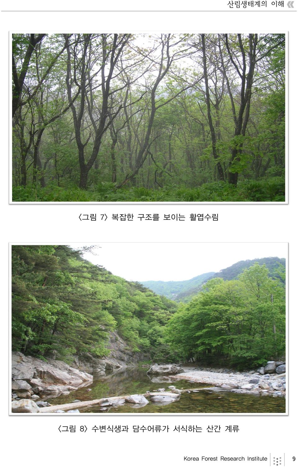 담수어류가 서식하는 산간 계류 Korea