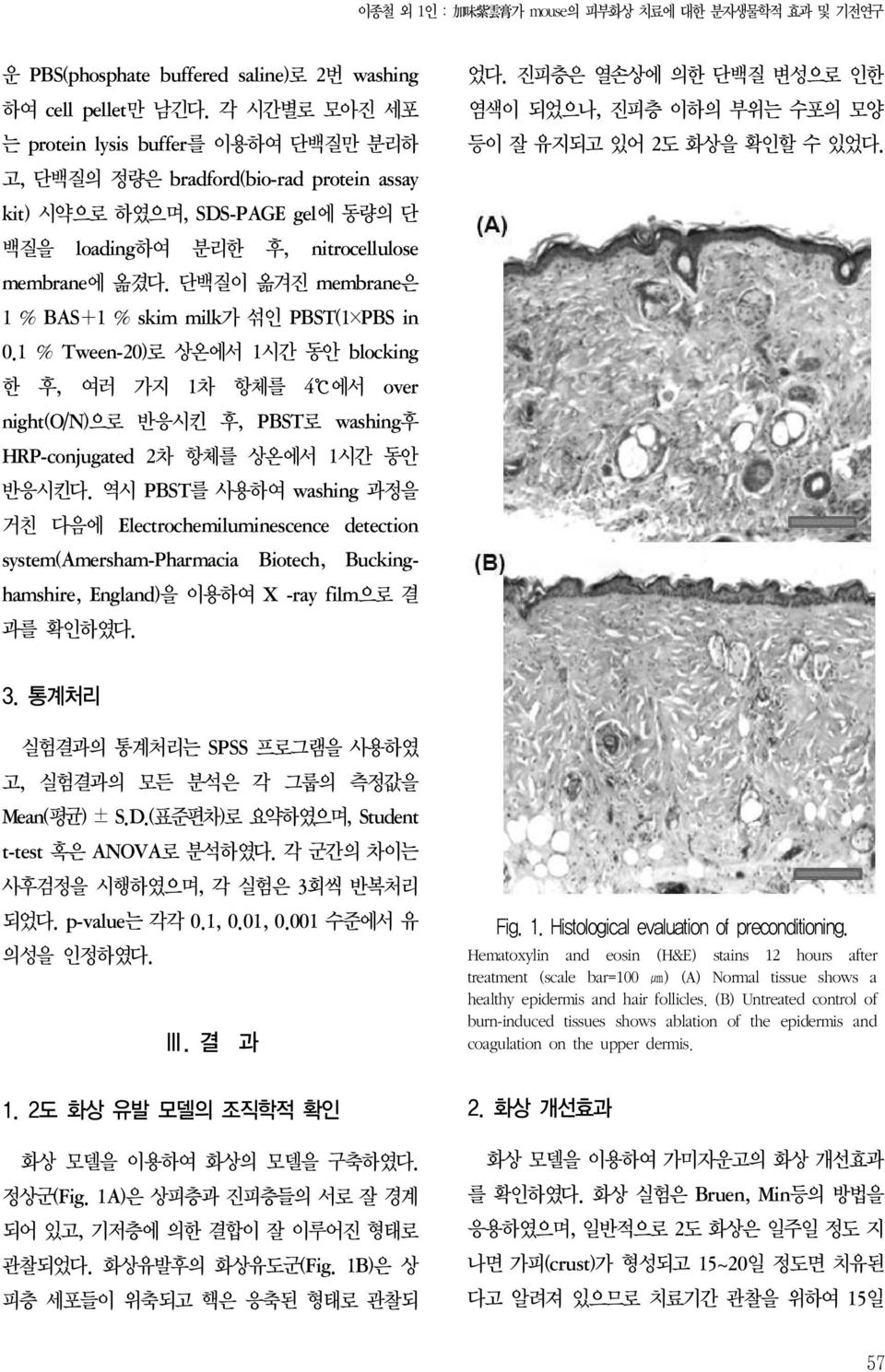 단백질이 옮겨진 membrane은 1 % BAS+1 % skim milk가 섞인 PBST(1 PBS in 0.