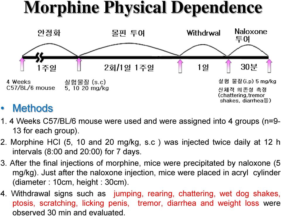 After the final injections of morphine, mice were precipitated by naloxone (5 mg/kg).