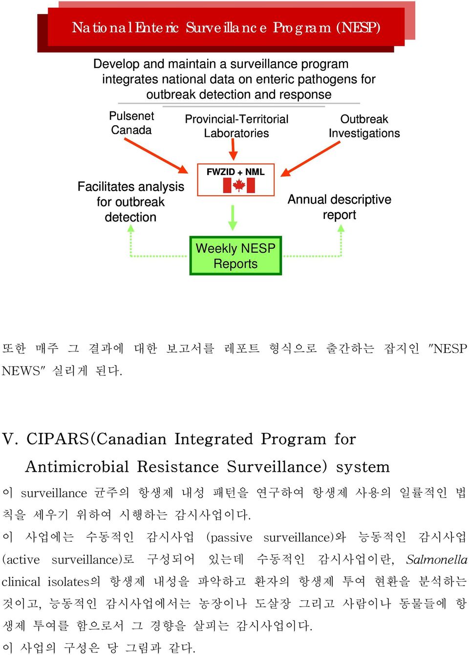출간하는 잡지인 "NESP NEWS" 실리게 된다. V. CIPAR S(Canadian Integrated Program f or Antimicrob ial R esistance Surveillance) system 이 surveillance 균주의 항생제 내성 패턴을 연구하여 항생제 사용의 일률적인 법 칙을 세우기 위하여 시행하는 감시사업이다.