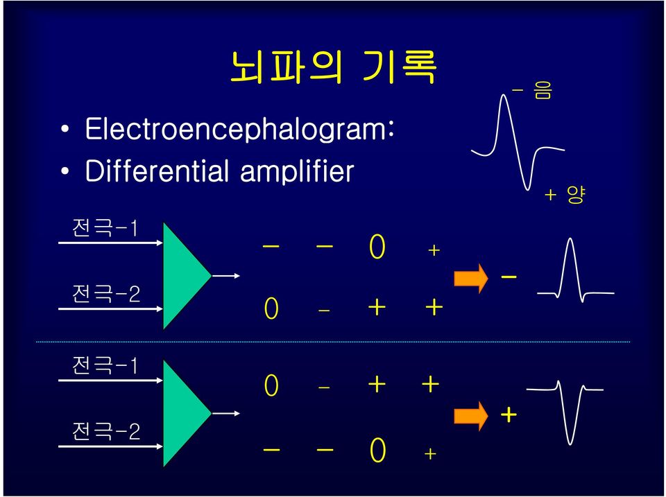 전극-2 - - 0 + 0 - + + - -음 +