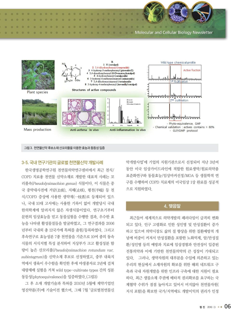 연구초기부터 문헌의 임상효능을 믿고 동물실험을 수행한 결과, 우수한 효 능을 나타낸 활성물질들을 발굴하였고, 그 연구결과를 2006 년부터 국내외 총 12국가에 특허를 출원/등록하였다.