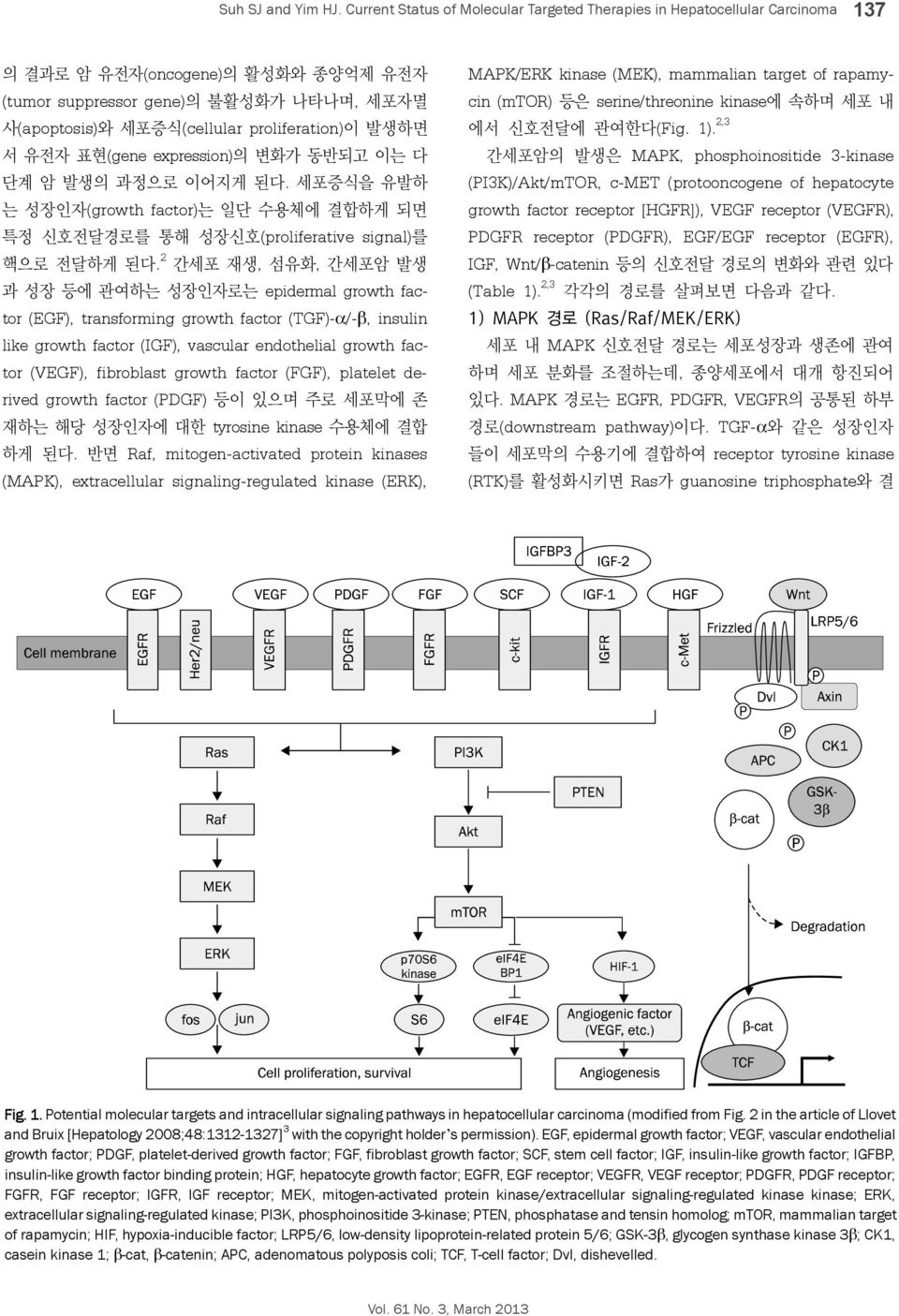 proliferation)이 발생하면 서 유전자 표현(gene expression)의 변화가 동반되고 이는 다 단계 암 발생의 과정으로 이어지게 된다. 세포증식을 유발하 는 성장인자(growth factor)는 일단 수용체에 결합하게 되면 특정 신호전달경로를 통해 성장신호(proliferative signal)를 핵으로 전달하게 된다.