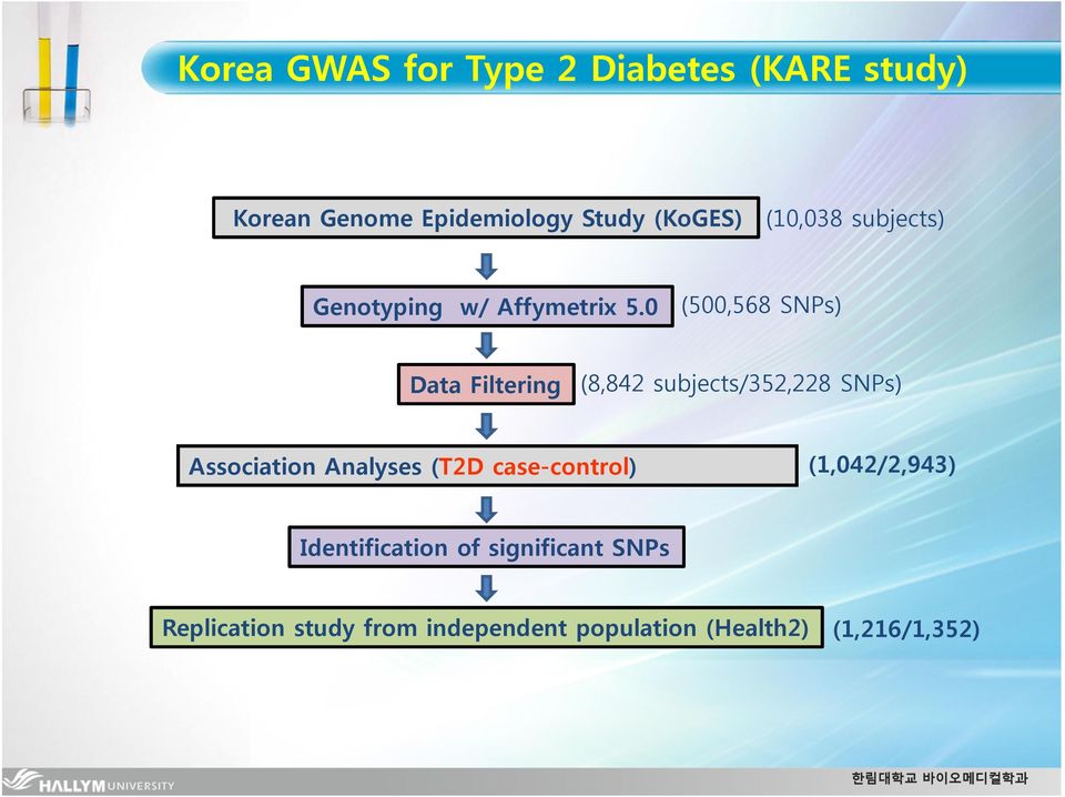 0 (500,568 SNPs) Data Filtering (8,842 subjects/352,228 SNPs) Association Analyses (T2D