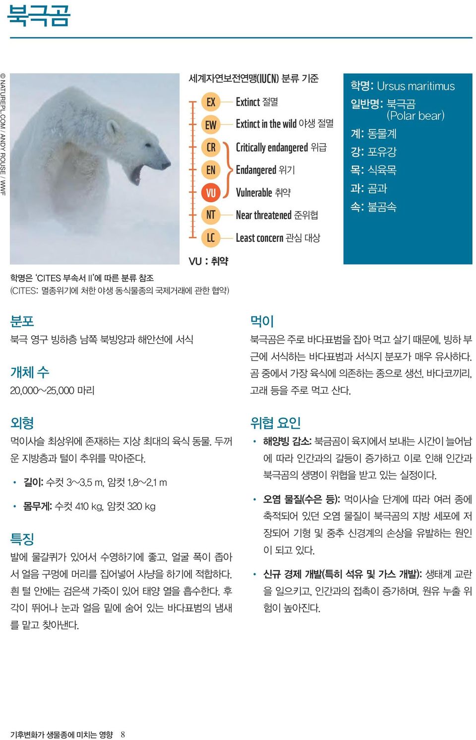 북극곰 (Polar bear) 계: 동물계 강: 포유강 목: 식육목 과: 곰과 속: 불곰속 VU : 취약 학명은 CITES 부속서 II 에 따른 분류 참조 (CITES: 멸종위기에 처한 야생 동식물종의 국제거래에 관한 협약) 분포 북극 영구 빙하층 남쪽 북빙양과 해안선에 서식 개체 수 20,000~25,000 마리 외형 먹이사슬 최상위에 존재하는 지상