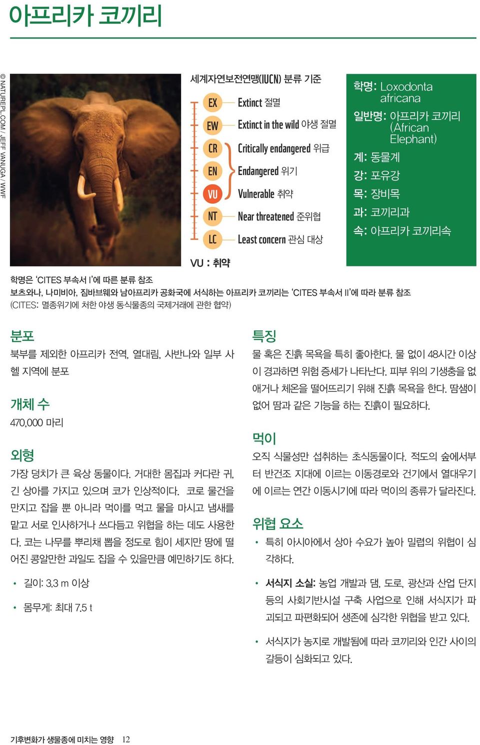 일반명: 아프리카 코끼리 (African Elephant) 계: 동물계 강: 포유강 목: 장비목 과: 코끼리과 속: 아프리카 코끼리속 VU : 취약 학명은 CITES 부속서 I 에 따른 분류 참조 보츠와나, 나미비아, 짐바브웨와 남아프리카 공화국에 서식하는 아프리카 코끼리는 CITES 부속서 II 에 따라 분류 참조 (CITES: 멸종위기에 처한 야생