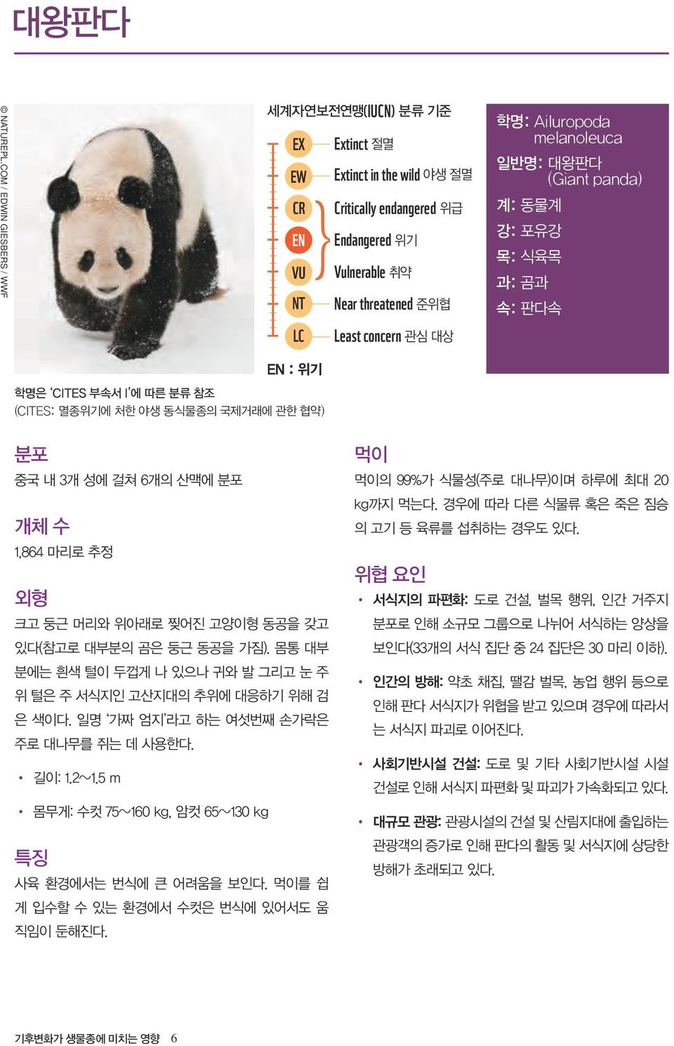 melanoleuca 일반명: 대왕판다 (Giant panda) 계: 동물계 강: 포유강 목: 식육목 과: 곰과 속: 판다속 EN : 위기 학명은 CITES 부속서 I 에 따른 분류 참조 (CITES: 멸종위기에 처한 야생 동식물종의 국제거래에 관한 협약) 분포 중국 내 3개 성에 걸쳐 6개의 산맥에 분포 개체 수 1,864 마리로 추정 외형 크고 둥근