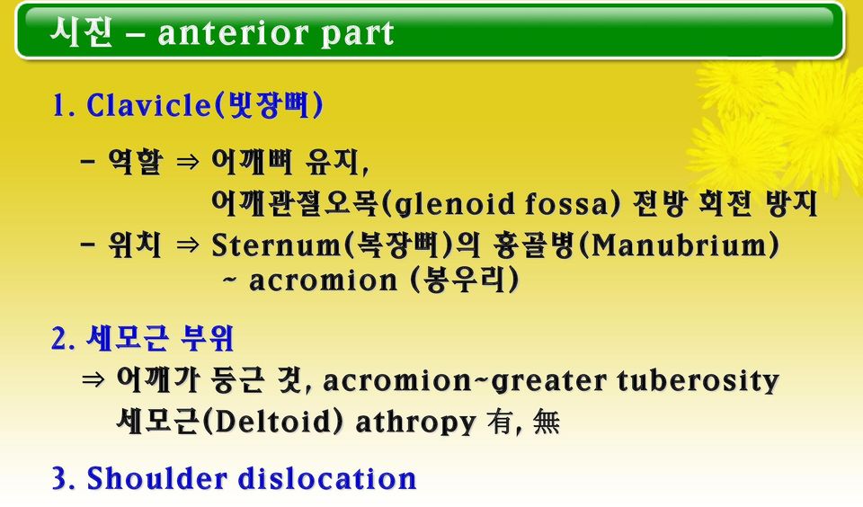 방지 - 위치 Sternum(복장뼈)의 흉골병(Manubrium) ~ acromion (봉우리) 2.