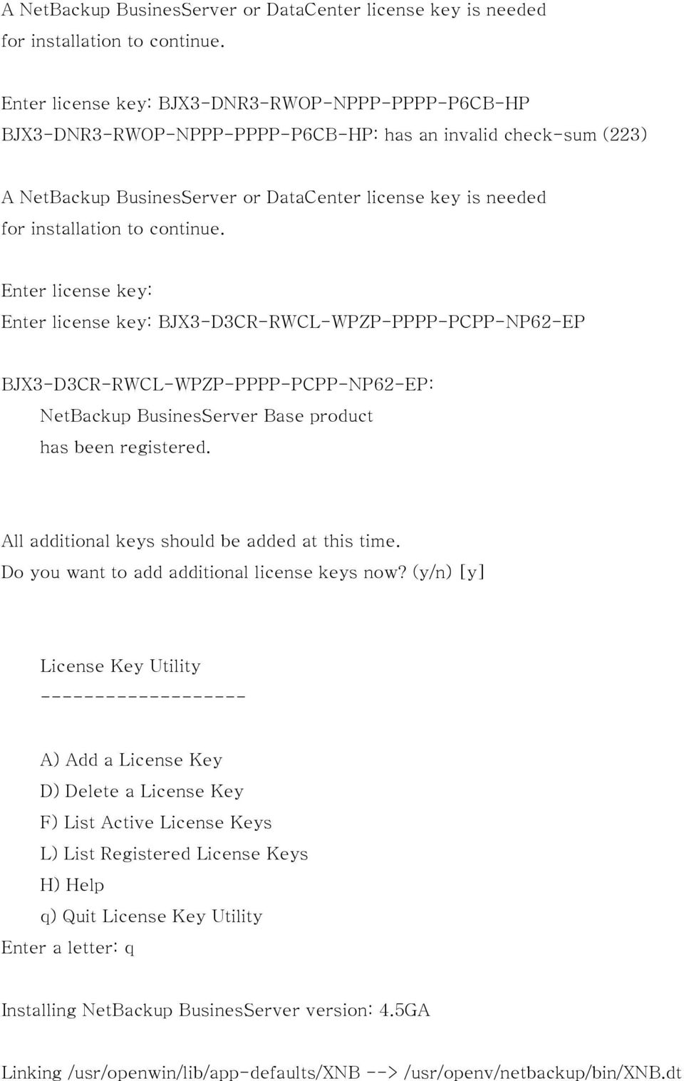 BJX3-D3CR-RWCL-WPZP-PPPP-PCPP-NP62-EP: NetBackup BusinesServer Base product has been registered. All additional keys should be added at this time. Do you want to add additional license keys now?