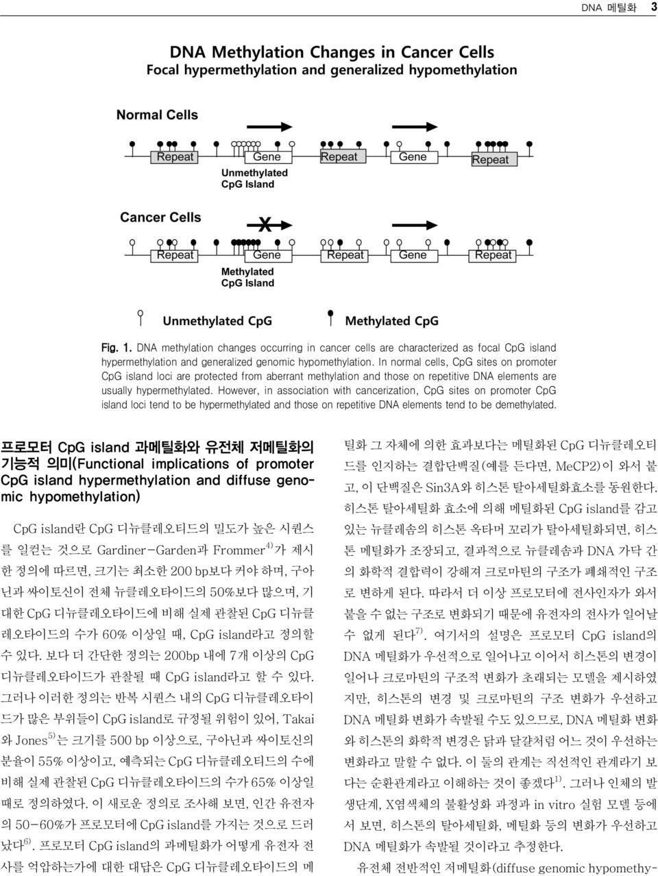 However, in association with cancerization, CpG sites on promoter CpG island loci tend to be hypermethylated and those on repetitive DNA elements tend to be demethylated.