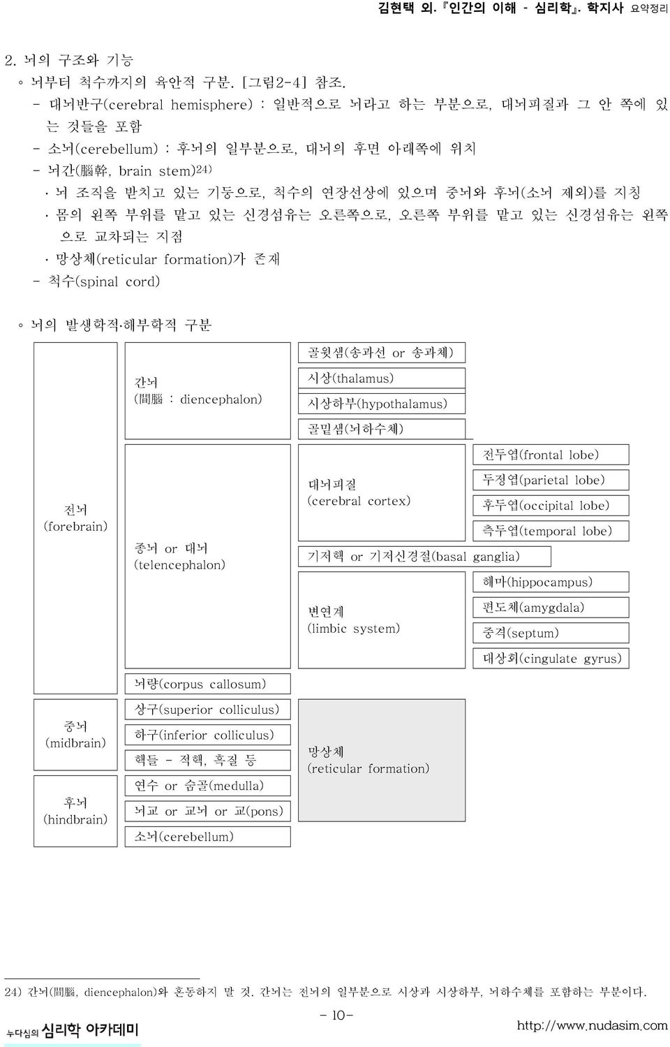 왼쪽 부위를 맡고 있는 신경섬유는 오른쪽으로, 오른쪽 부위를 맡고 있는 신경섬유는 왼쪽 으로 교차되는 지점 망상체(reticular formation)가 존재 - 척수(spinal cord) 뇌의 발생학적 해부학적 구분 골윗샘(송과선 or 송과체) 간뇌 ( 間 腦 : diencephalon) 시상(thalamus) 시상하부(hypothalamus)