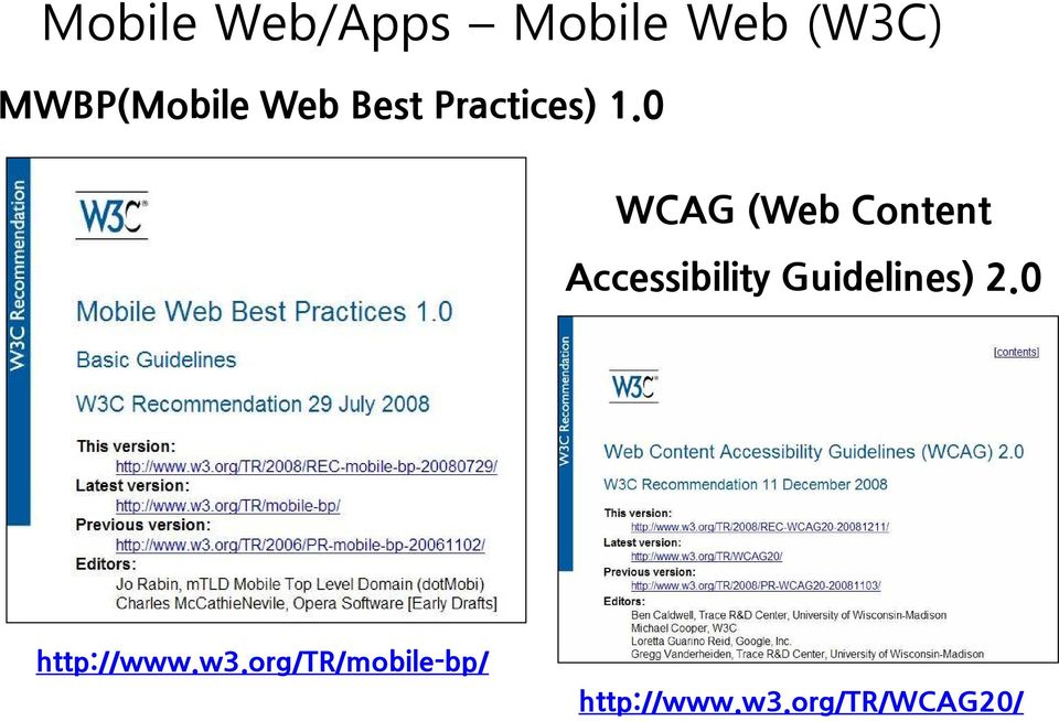 0 WCAG (Web Content Accessibility