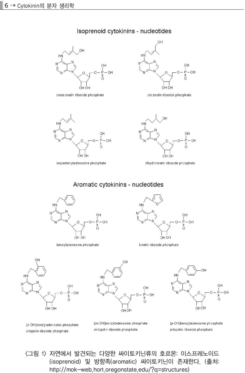 방향족(aromatic) 싸이토키닌이 존재한다.