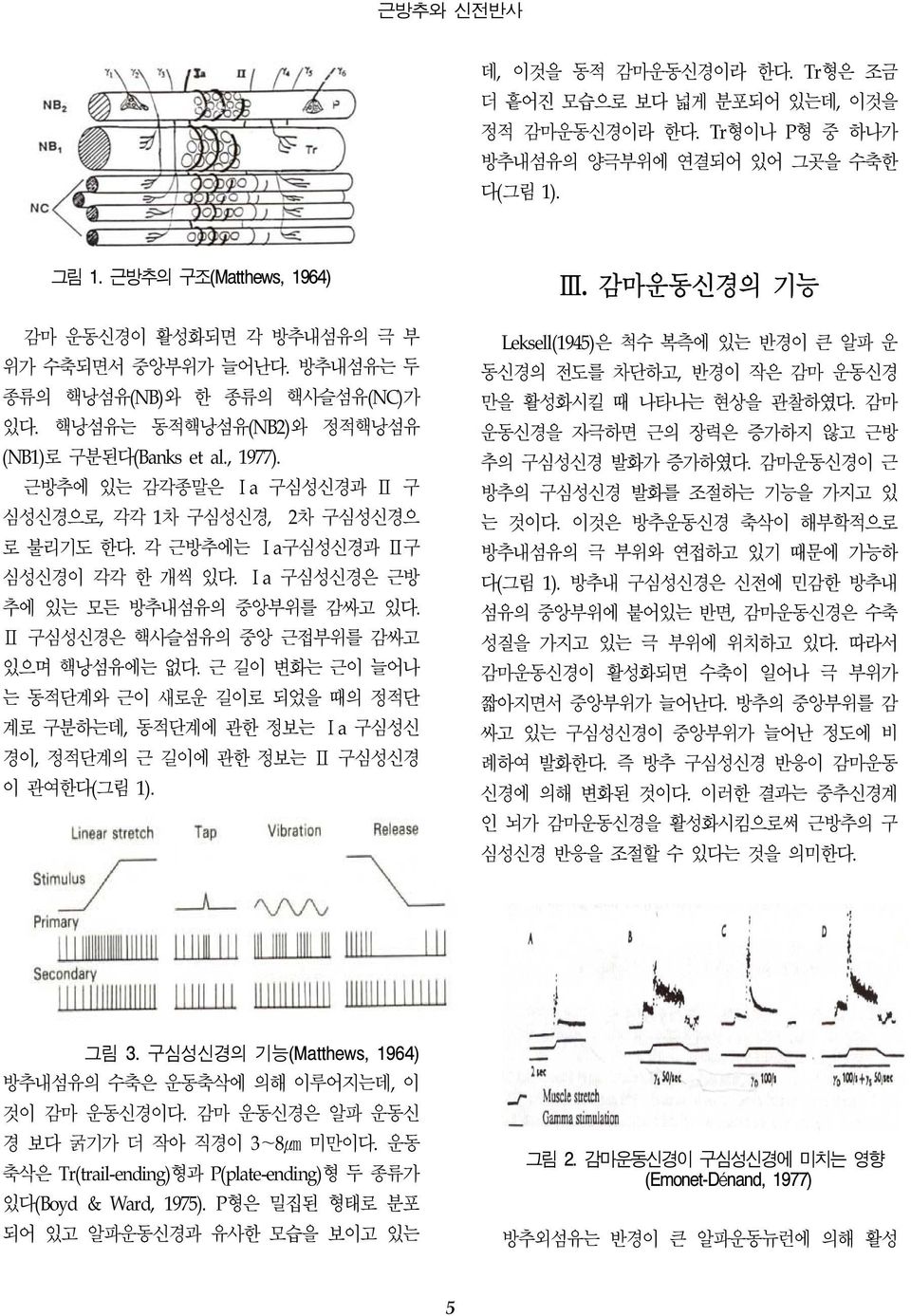 근방추에 있는 감각종말은 Ⅰa 구심성신경과 Ⅱ 구 심성신경으로, 각각 1차 구심성신경, 2차 구심성신경으 로 불리기도 한다. 각 근방추에는 Ⅰa구심성신경과 Ⅱ구 심성신경이 각각 한 개씩 있다. Ⅰa 구심성신경은 근방 추에 있는 모든 방추내섬유의 중앙부위를 감싸고 있다. Ⅱ 구심성신경은 핵사슬섬유의 중앙 근접부위를 감싸고 있으며 핵낭섬유에는 없다.