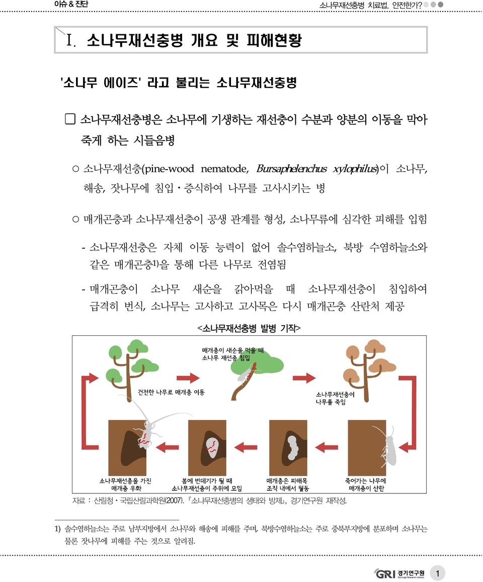 솔수염하늘소, 북방 수염하늘소와 같은 매개곤충 1) 을 통해 다른 나무로 전염됨 - 매개곤충이 소나무 새순을 갉아먹을 때 소나무재선충이 침입하여 급격히 번식, 소나무는 고사하고 고사목은 다시 매개곤충 산란처 제공 <소나무재선충병 발병