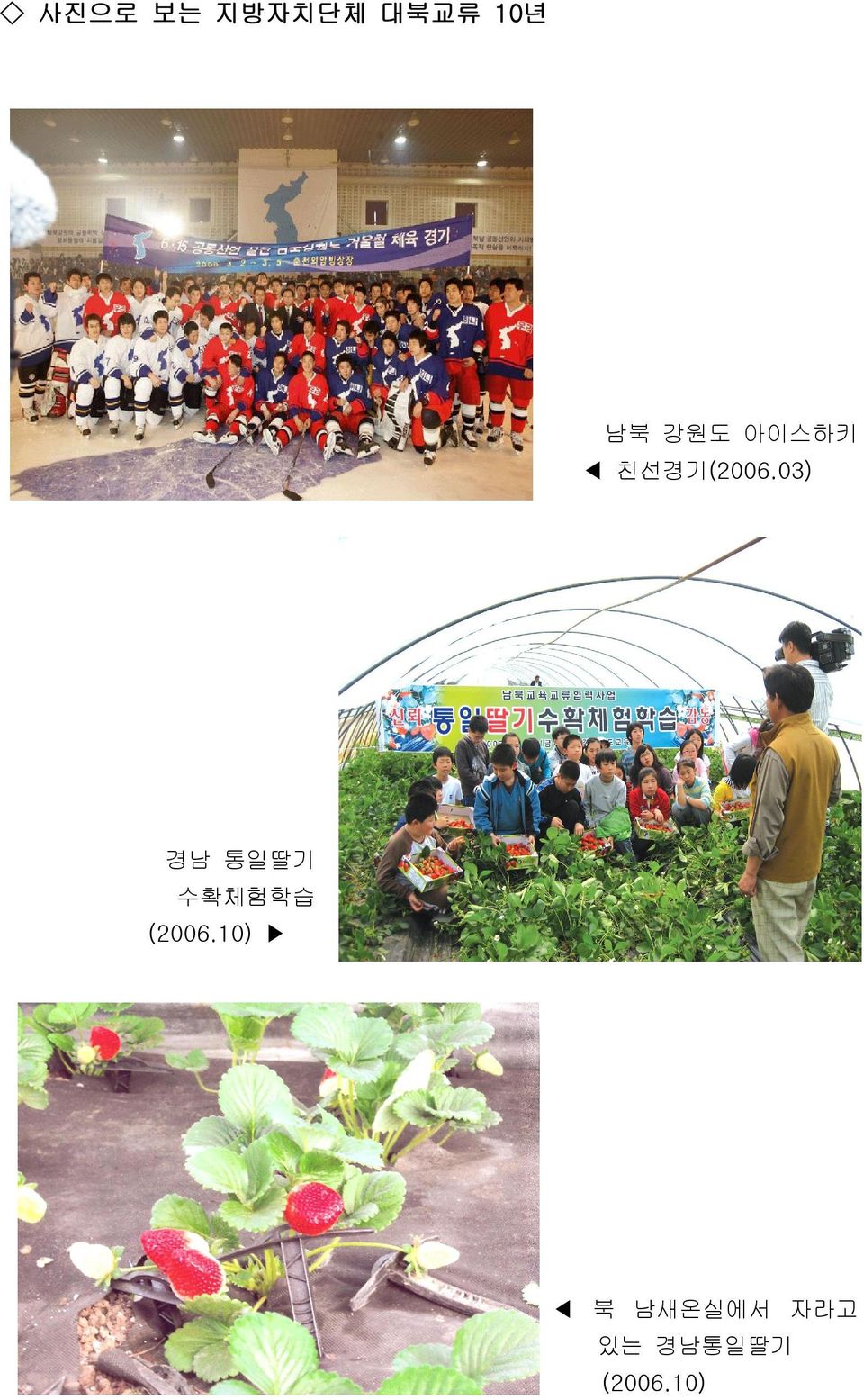 03) 경남 통일딸기 수확체험학습 (2006.