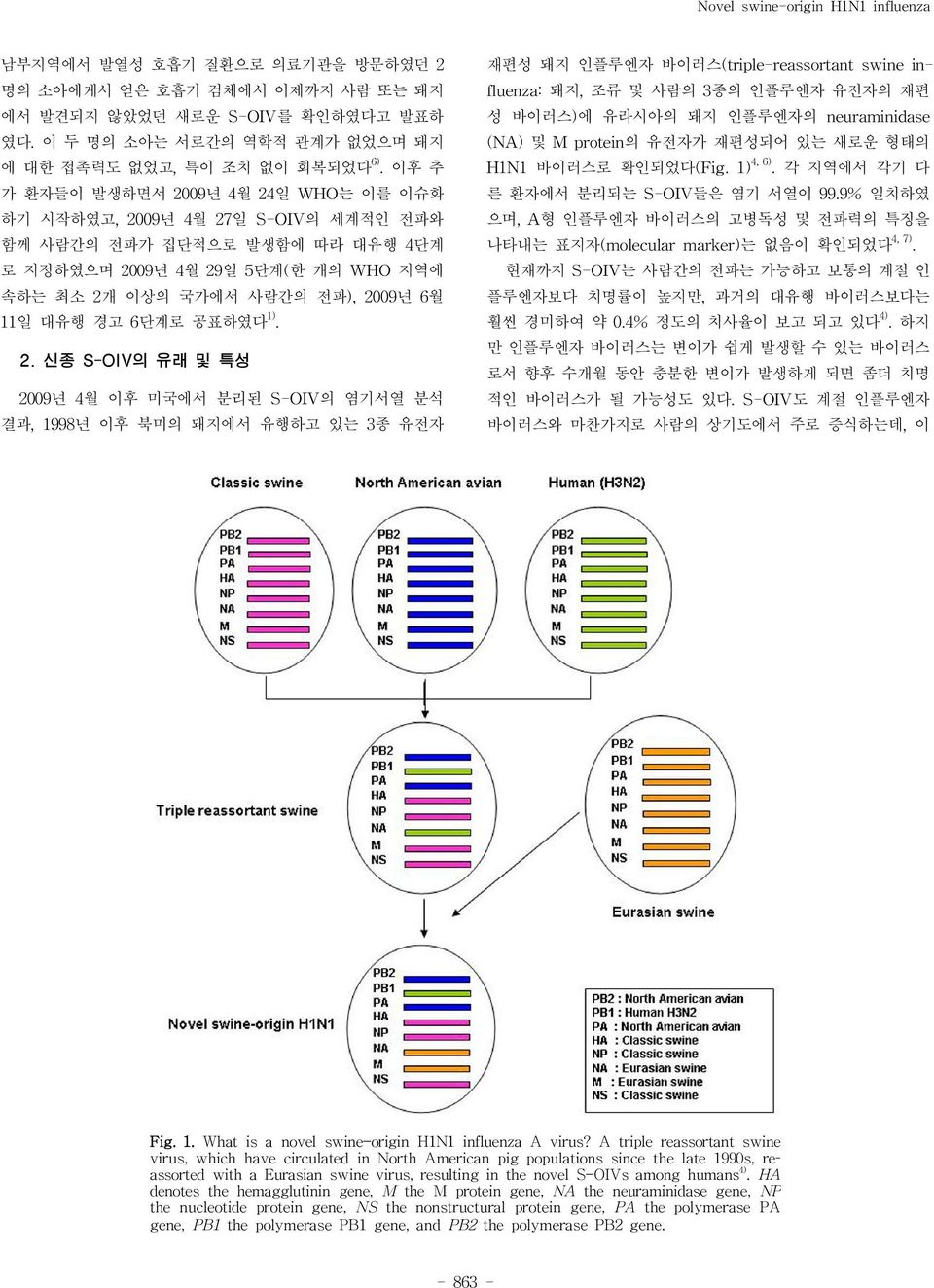 이후 추 가 환자들이 발생하면서 2009년 4월 24일 WHO는 이를 이슈화 하기 시작하였고,2009년 4월 27일 S-OIV의 세계적인 전파와 함께 사람간의 전파가 집단적으로 발생함에 따라 대유행 4단계 로 지정하였으며 2009년 4월 29일 5단계(한 개의 WHO 지역에 속하는 최소 2개 이상의 국가에서 사람간의 전파),2009년 6월 11일 대유행