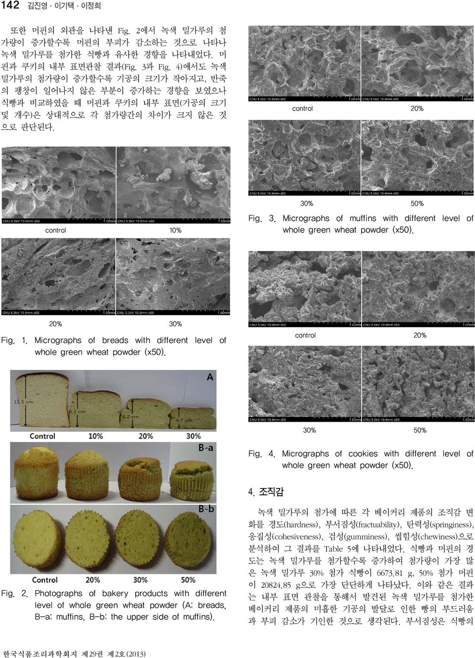 % control 20% 30% 50% Fig. 3. Micrographs of muffins with different level of whole green wheat powder (x50). Fig. 1. Micrographs of breads with different level of whole green wheat powder (x50).