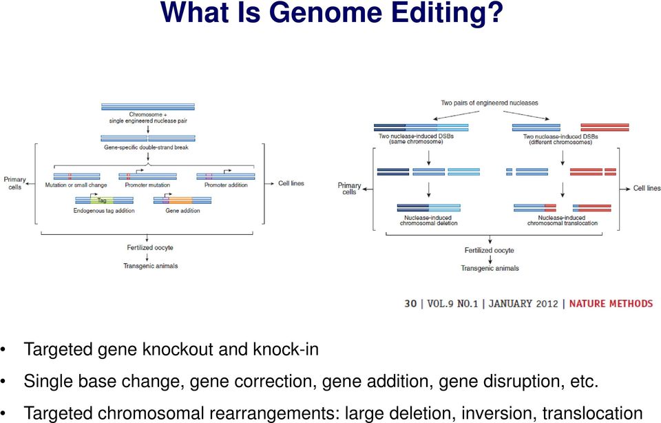 change, gene correction, gene addition, gene