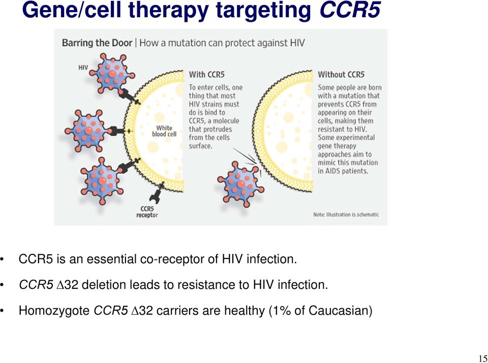 CCR5 32 deletion leads to resistance to HIV